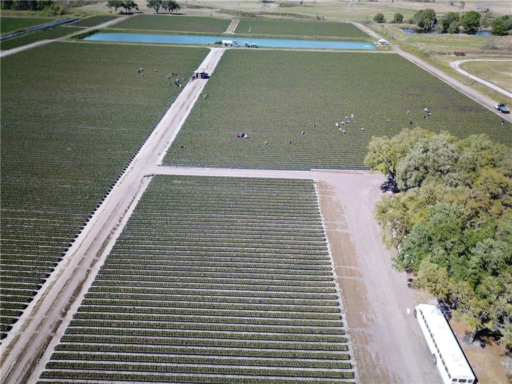 2208 W Knights Griffin Rd., Plant City, FL 33565