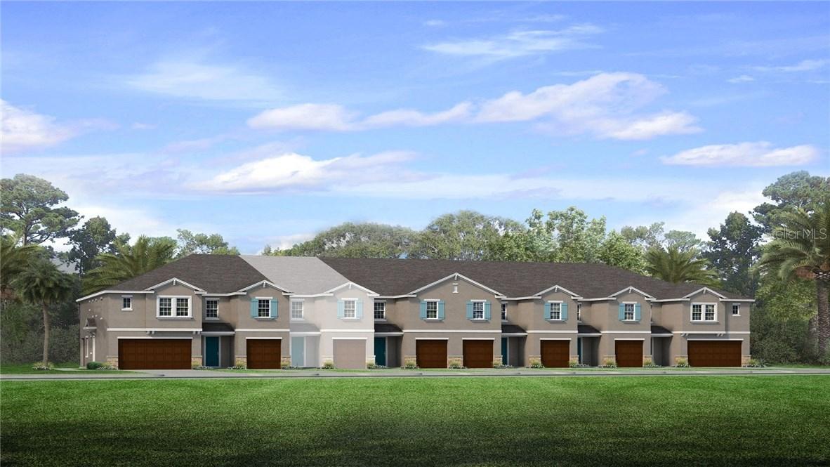 3214 Painted Blossom Ct., Lutz, FL 33558