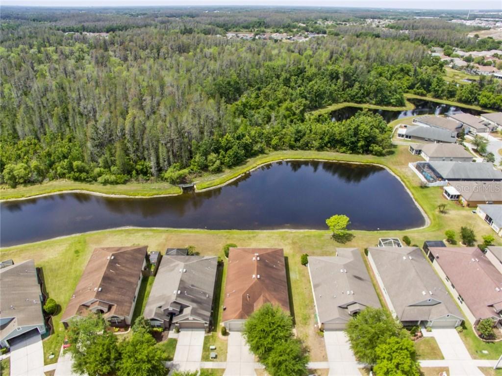 1837 Leybourne Loop, Wesley Chapel, FL 33543