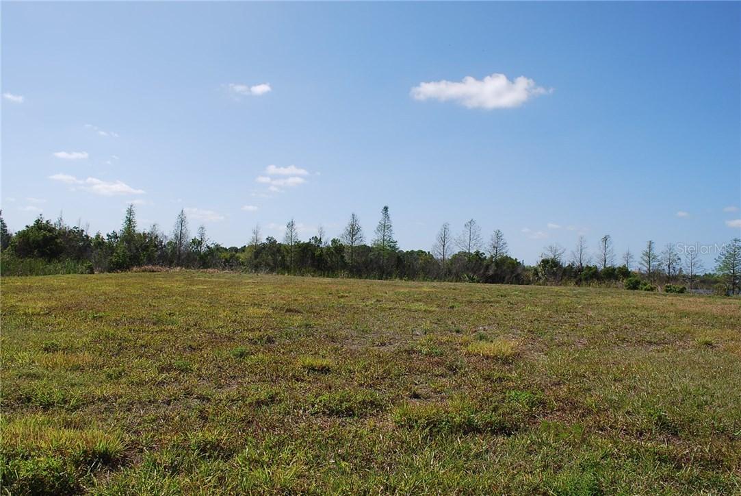 Smilodon Tr., Ruskin, FL 33570