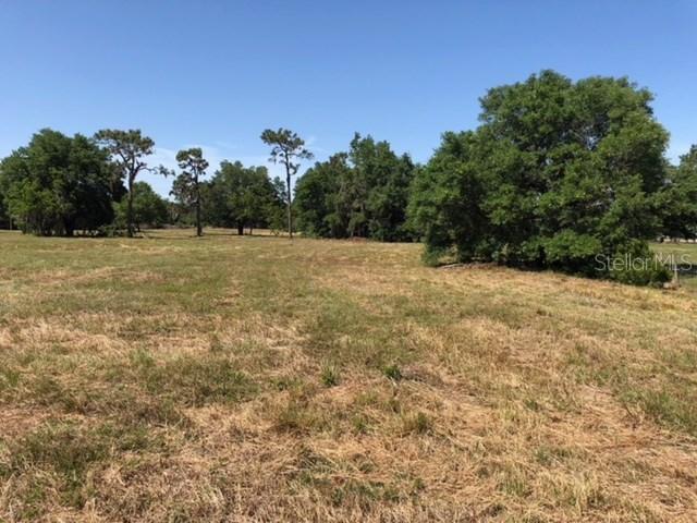 181 Palmetto Palm Dr., Winter Haven, FL 33880