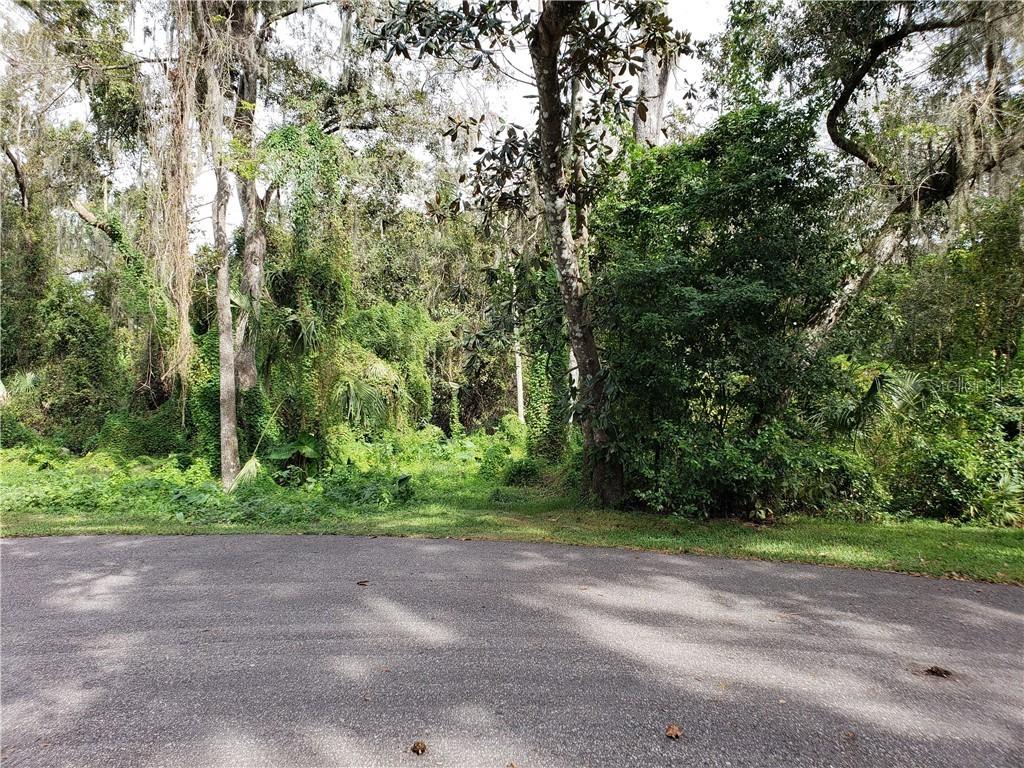 3517 Mcintosh Oaks Ct., Dover, FL 33527