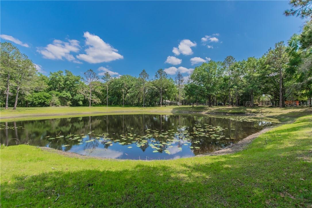 18720 30th St., Lutz, FL 33559