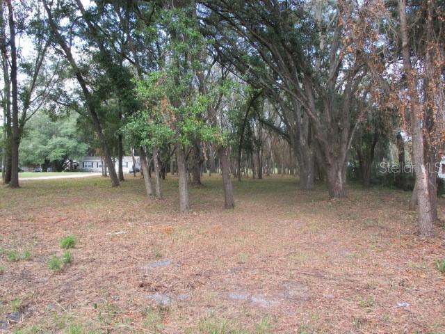 15113 N 20th St., Lutz, FL 33549