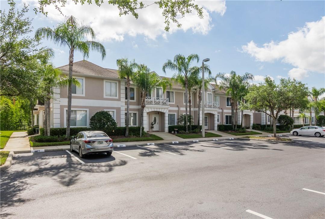 18173 Paradise Point Dr., Tampa, FL 33647
