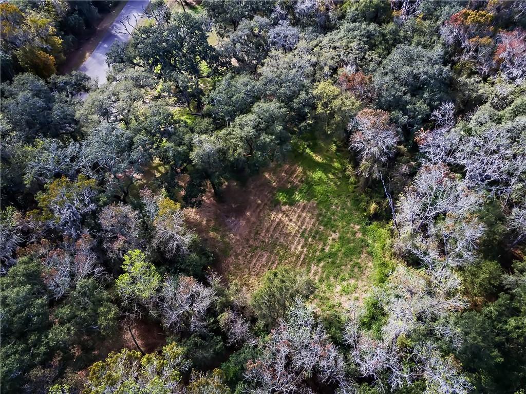 13226 Creek Crossing Ln., Dover, FL 33527