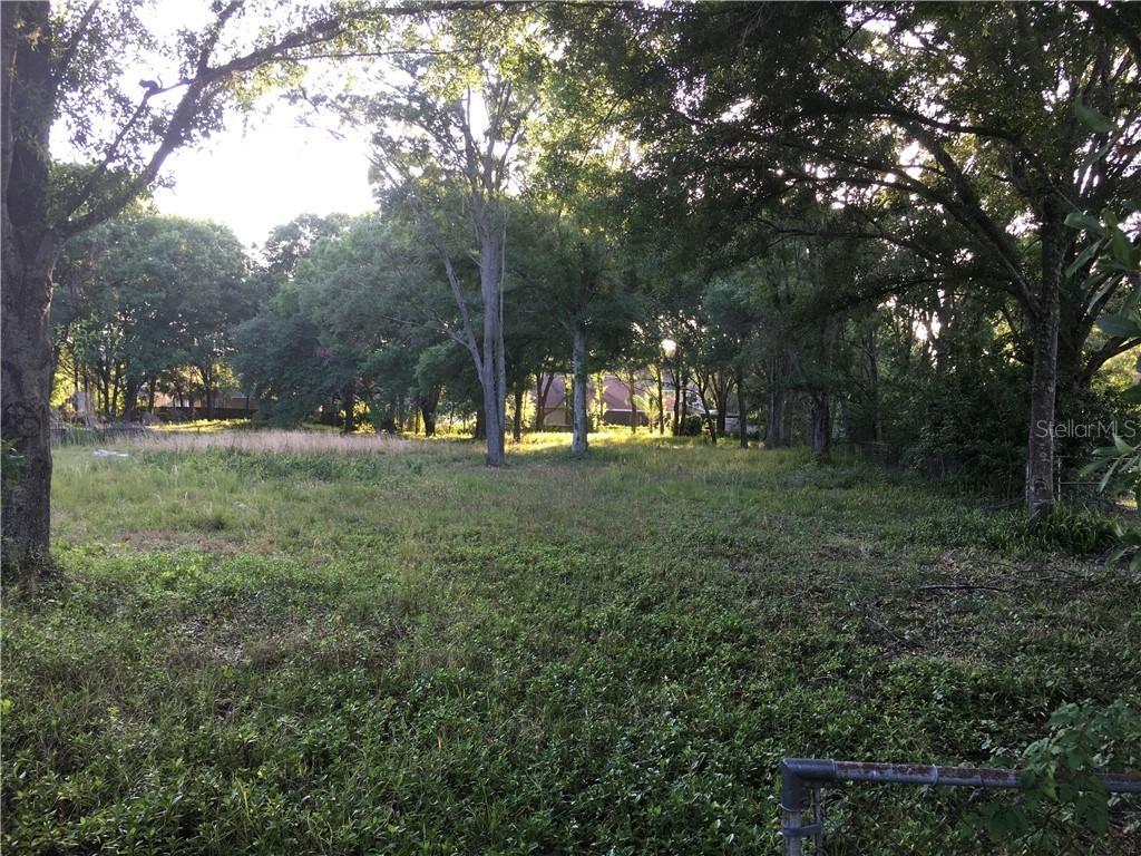 15222 Otto Rd., Tampa, FL 33624