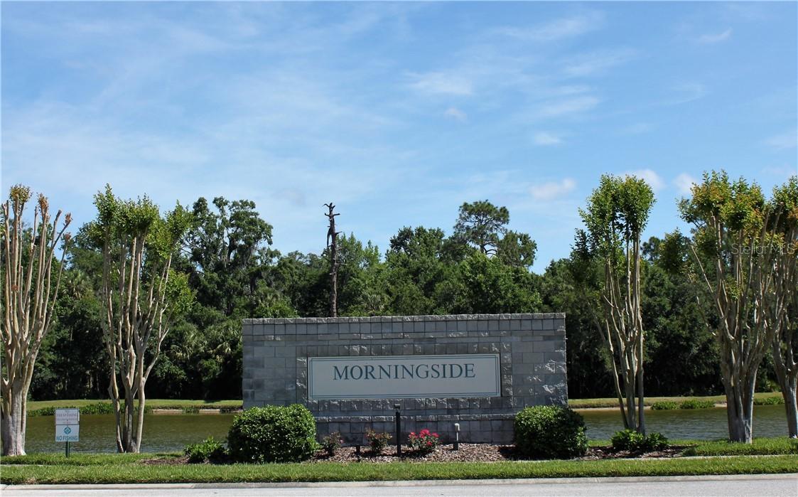 29642 Fog Hollow Dr., Wesley Chapel, FL 33543