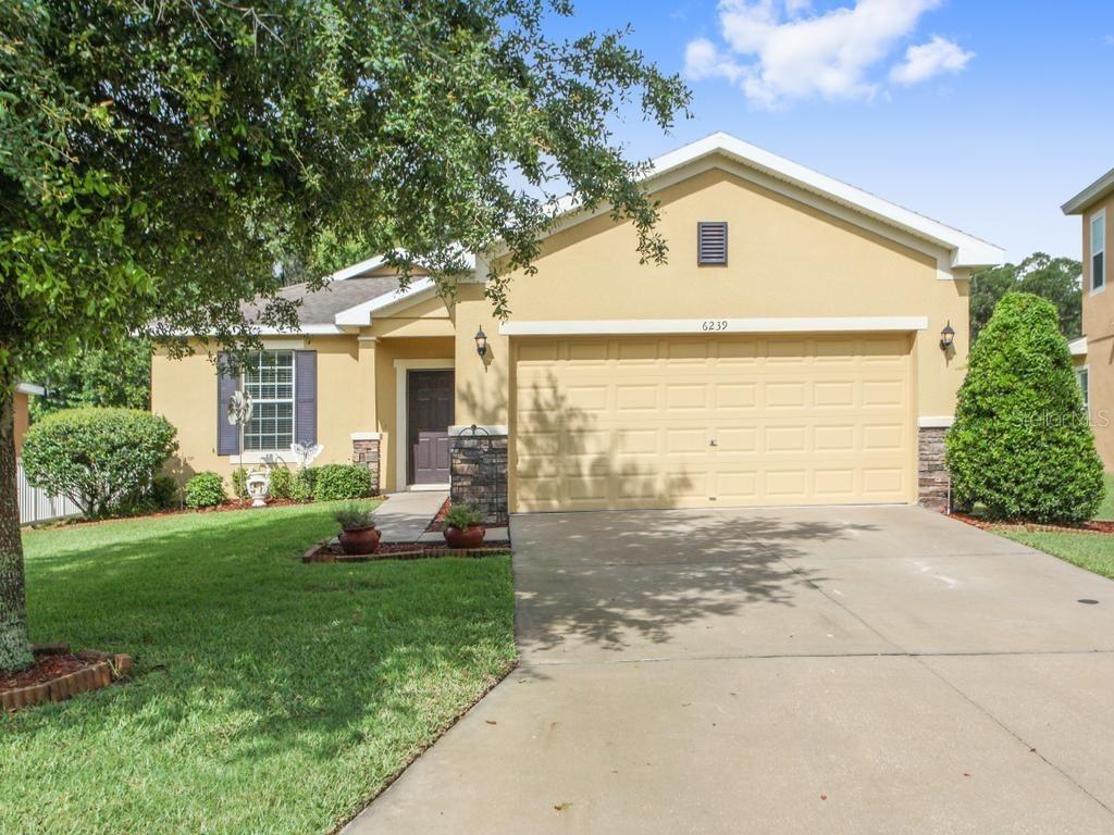 6239 Hawk Grove Ct., Wesley Chapel, FL 33545