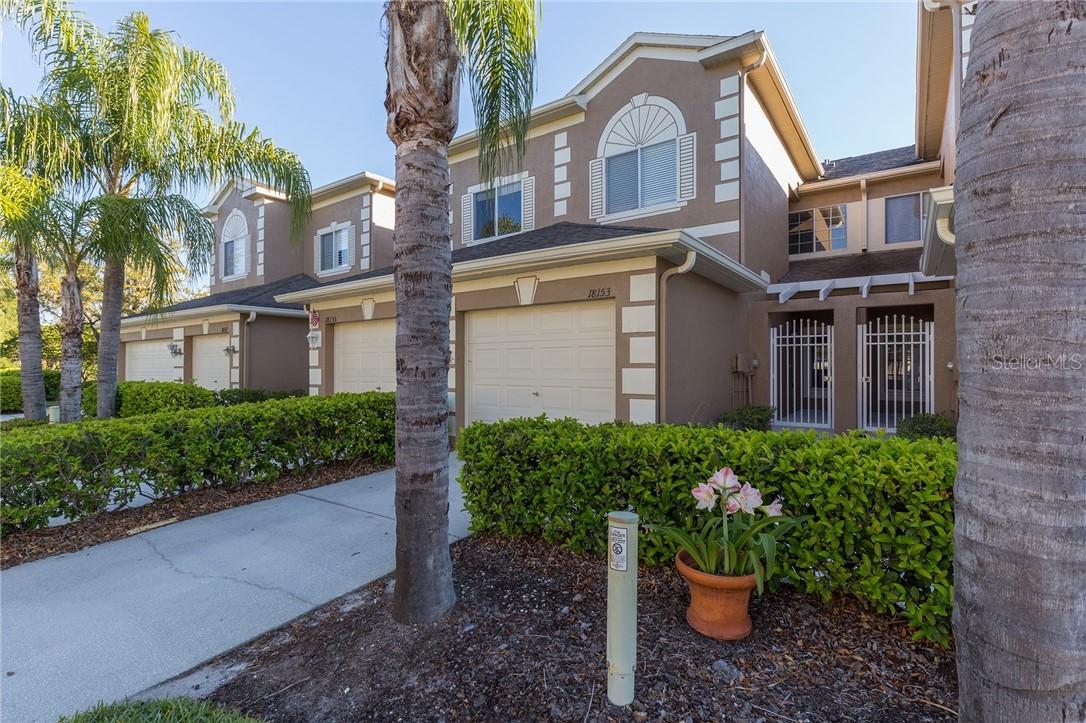 18153 Nassau Point Dr., Tampa, FL 33647