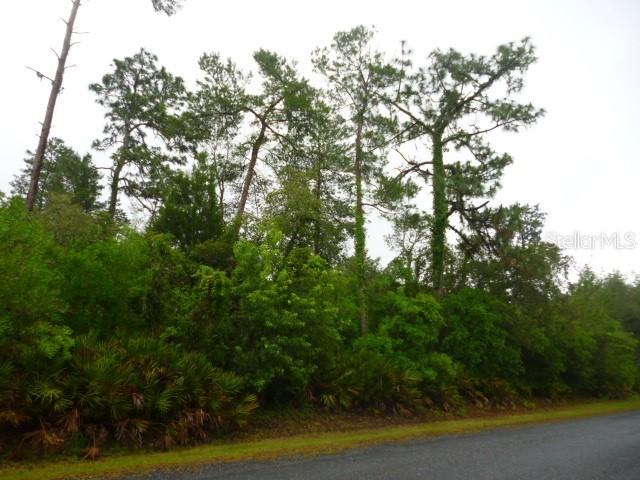 [Address Hidden by Seller], Brooksville, FL 34613