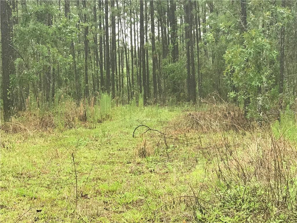 5411 Golddust Rd., Spring Hill, FL 34609