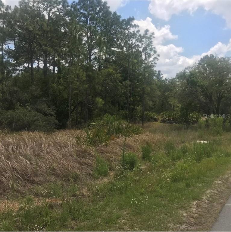 11189 Flock Ave., Weeki Wachee, FL 34613