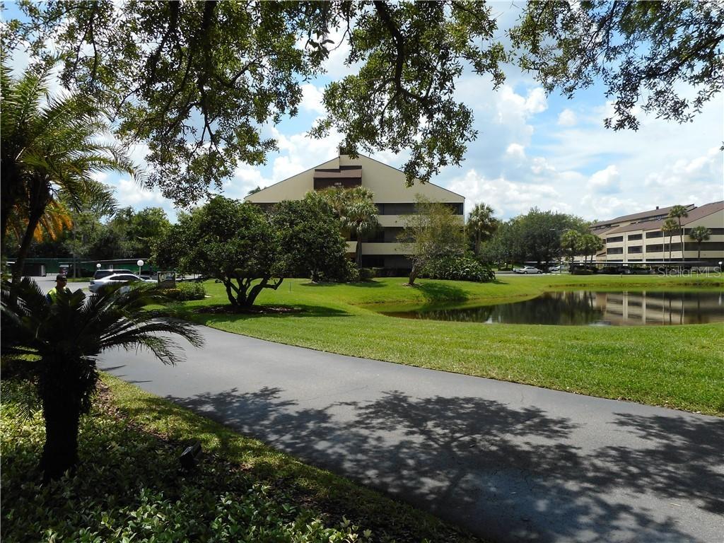 13610 S Village Dr. #4211, Tampa, FL 33618