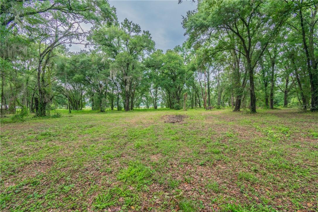 13318 Sullivan Manor Ct., Dover, FL 33527