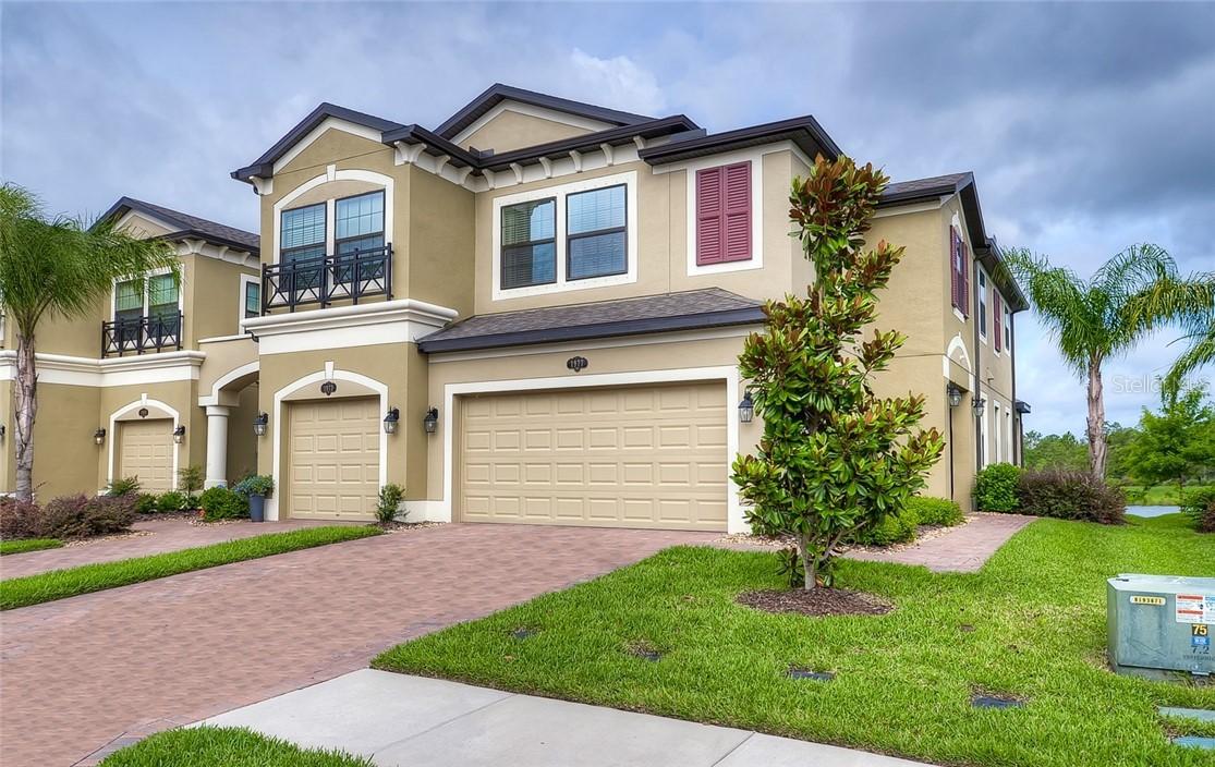 1977 Milkweed Trace, Lutz, FL 33558