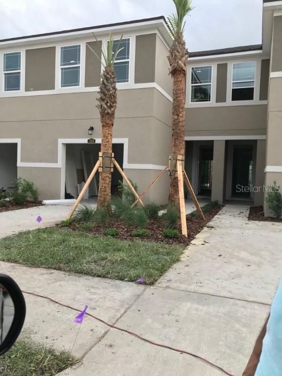 17833 Althea Blue Pl., Lutz, FL 33558