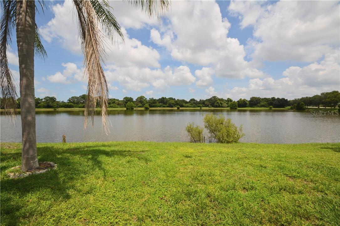 11613 Sunshine Pond Rd., Tampa, FL 33635