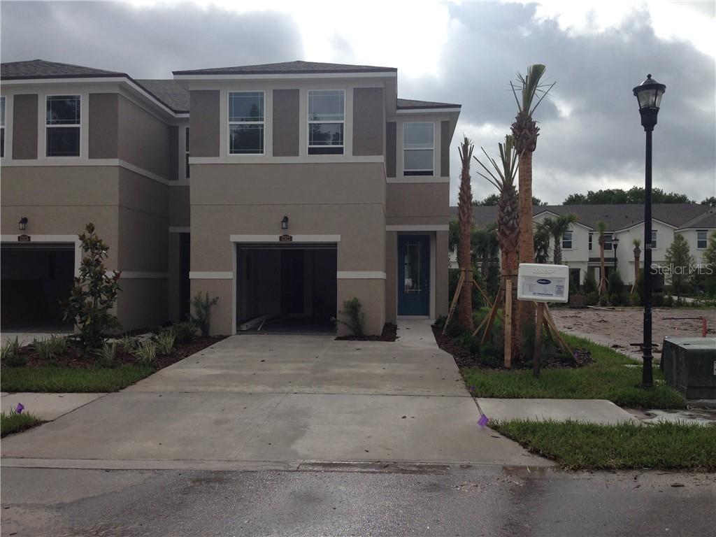 17823 Althea Blue Pl., Lutz, FL 33558