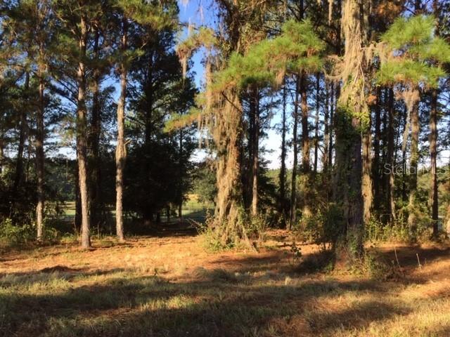 5053 Majestic Hills Loop, Brooksville, FL 34601