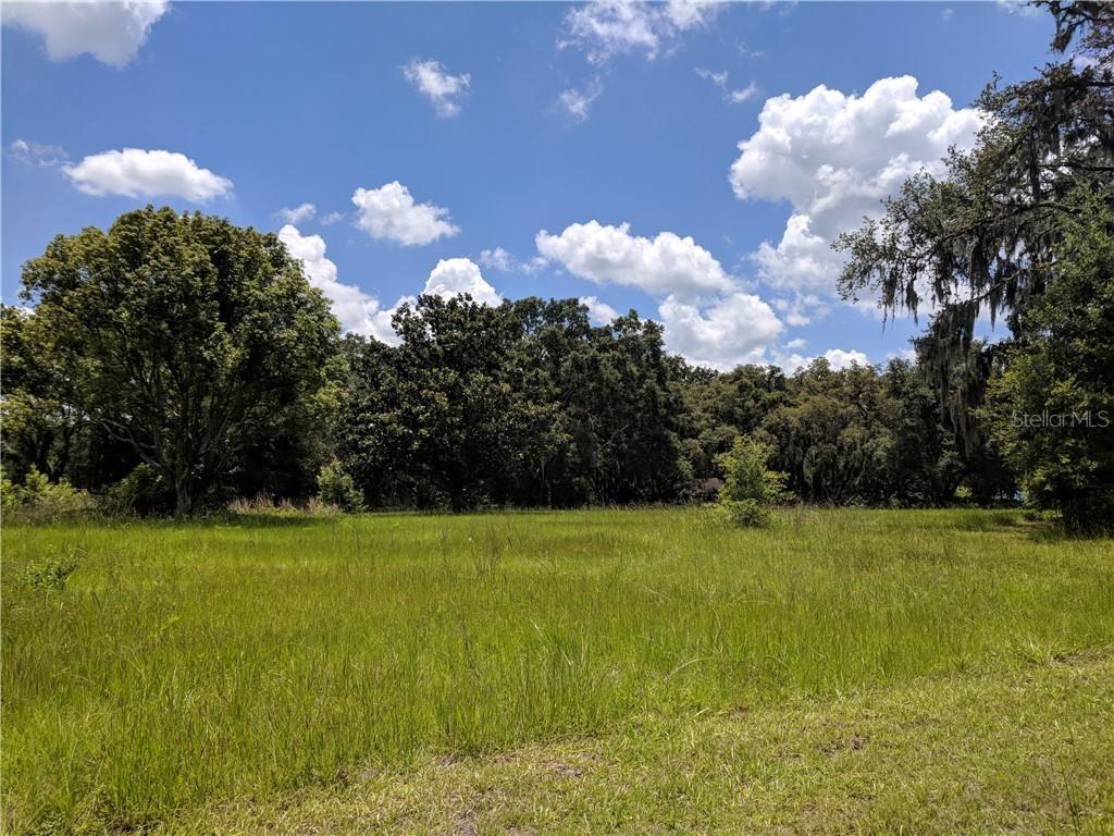 10006 Evanston Ln., San Antonio, FL 33576