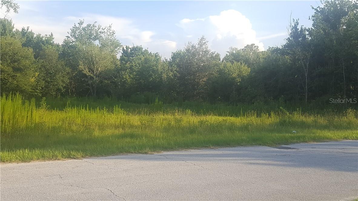 31760 Hedgerow Dr., Wesley Chapel, FL 33543