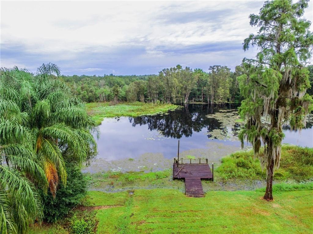 1208 Memory Ln., Lutz, FL 33549