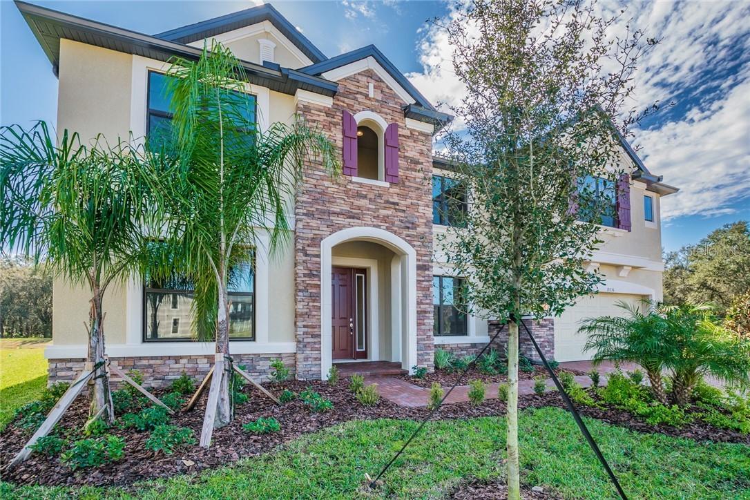 19236 Briarbrook Dr., Tampa, FL 33647