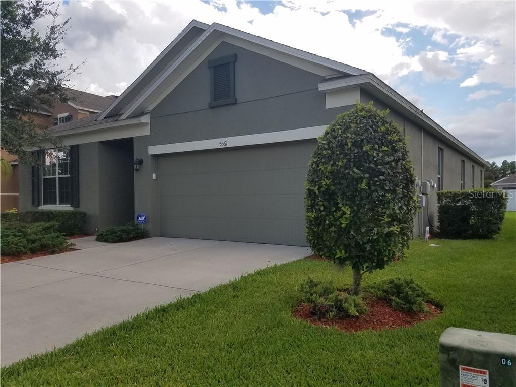 5561 Angelonia Ter., Land O Lakes, FL 34639
