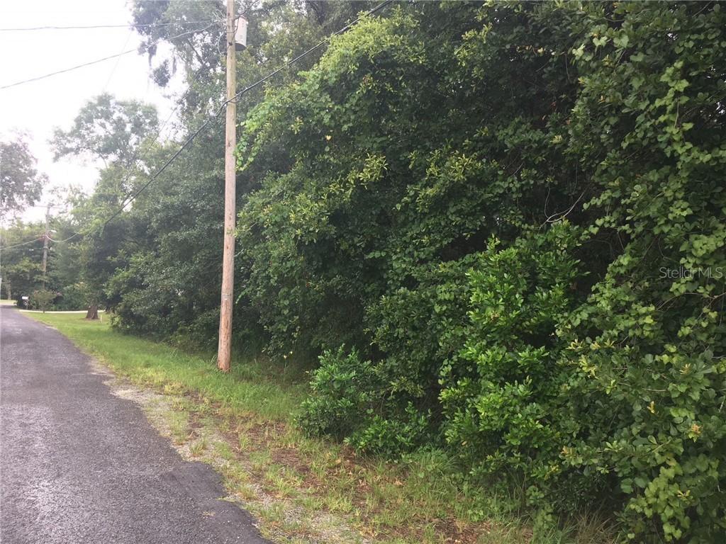 Quail Ln., Lutz, FL 33548