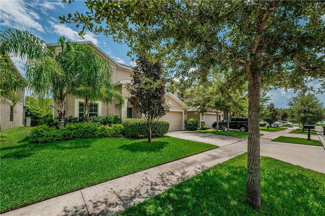 3610 Lefays Point, Land O Lakes, FL 34638