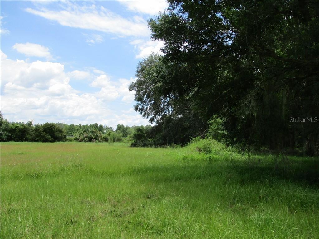 6531 W Knights Griffin Rd., Plant City, FL 33565