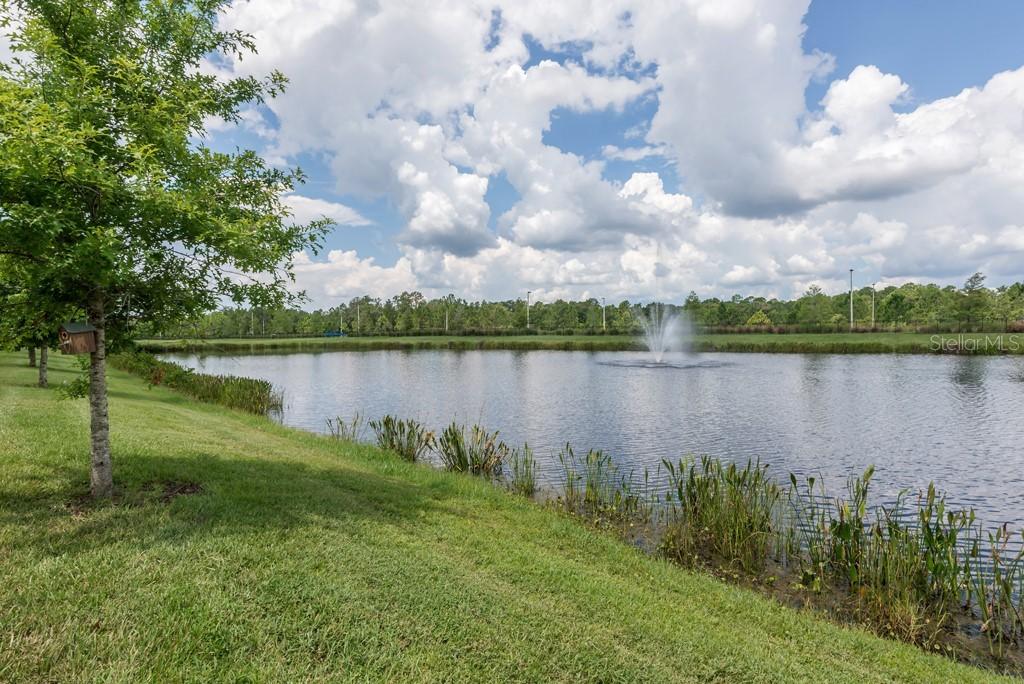 1985 Milkweed Trace, Lutz, FL 33558