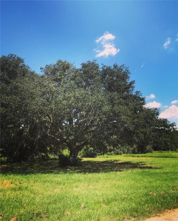 13940 Darby Park Ln., Dade City, FL 33525