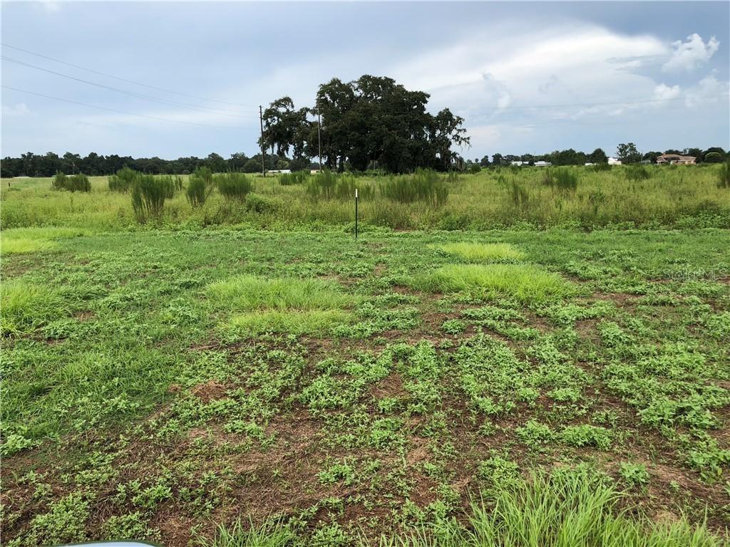 Nesmith Country Estates 1st, Plant City, FL 33567
