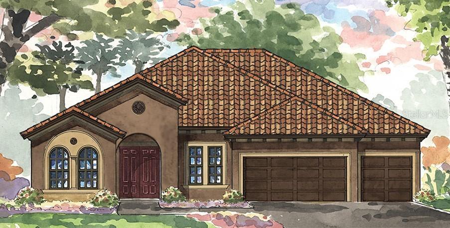 13330 Fawn Lily Dr., Riverview, FL 33579