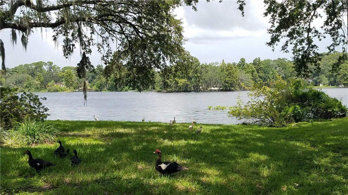 5104 Puritan Cir., Tampa, FL 33617