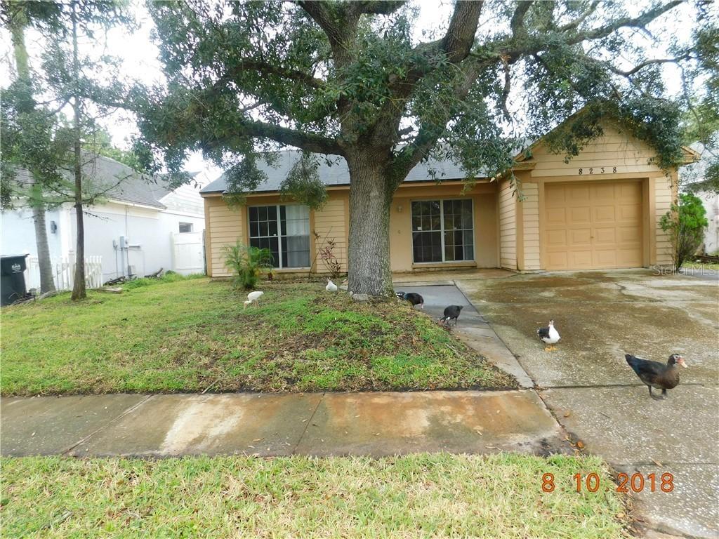 8238 Clermont St., Tampa, FL 33637