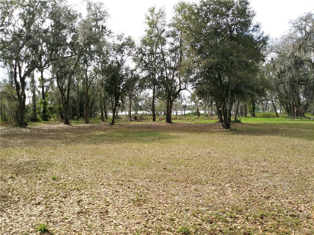 Lewis Rd., Dover, FL 33527
