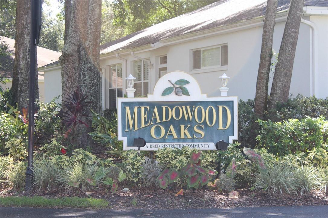 8622 Alexandra Arbor Ln., Temple Terrace, FL 33637