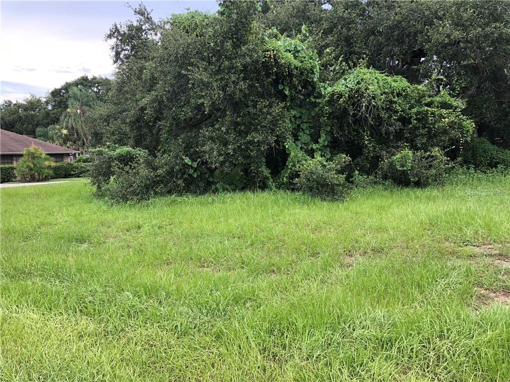 Westwood Dr & S. Kings Ave, Brandon, FL 33511