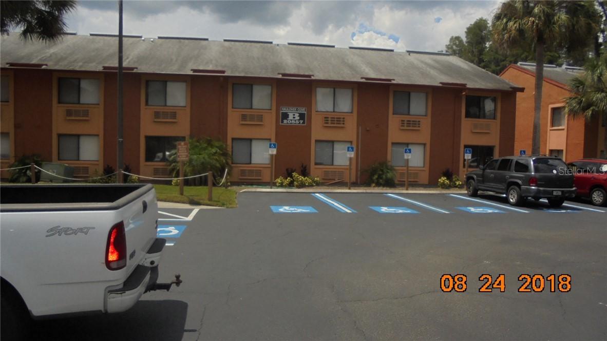 20857 Haulover Cove #B11, Lutz, FL 33558