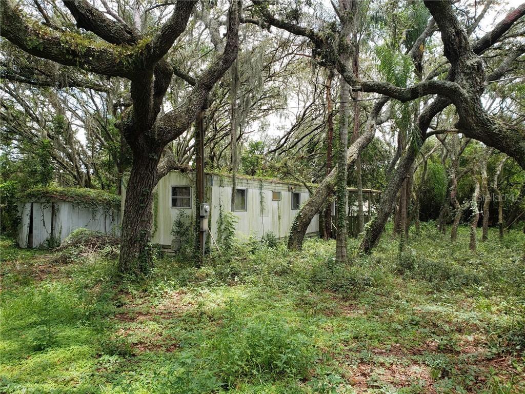 1418 Osceola Hollow Rd, Odessa, FL 33556