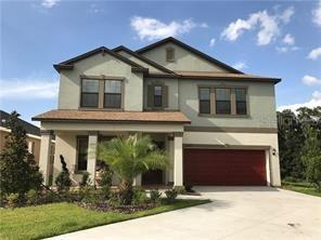14234 Blue Dasher Dr., Riverview, FL 33569