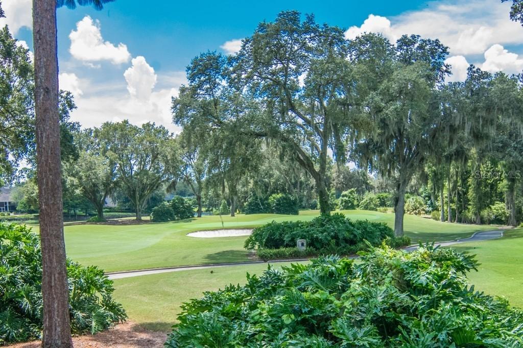 16906 Villalagos De Avila, Lutz, FL 33548