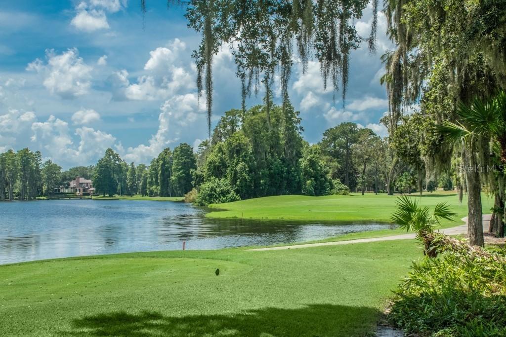 16914 Villalagos De Avila, Lutz, FL 33548