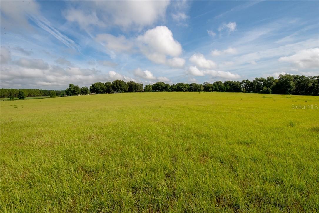 Parrish Grove Rd, Dade City, FL 33523