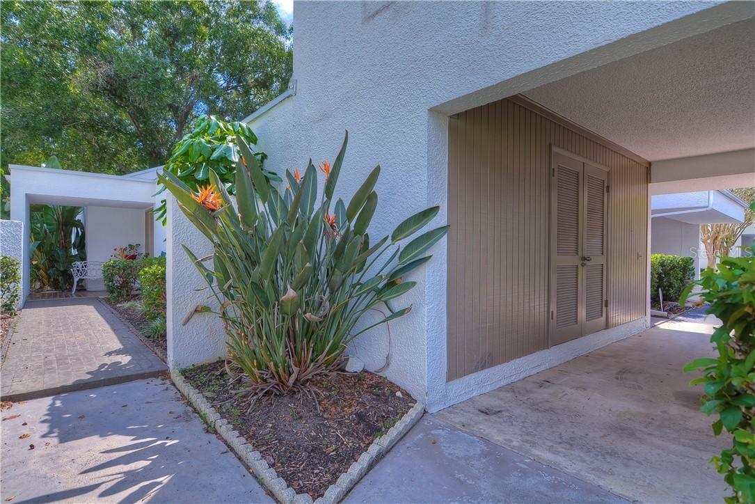 14221 Cypress Ter., Tampa, FL 33618