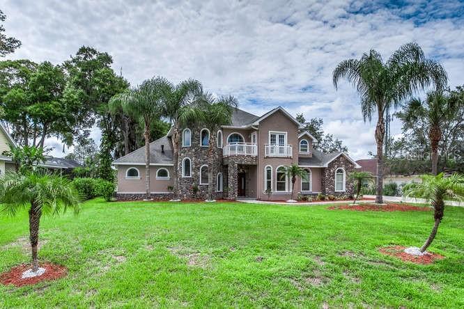 19925 Dolores Ann Ct., Lutz, FL 33549