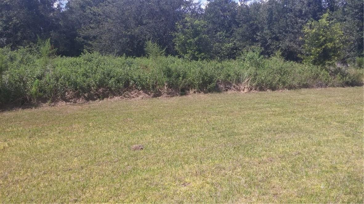 Morning Dew Ln., Wesley Chapel, FL 33543